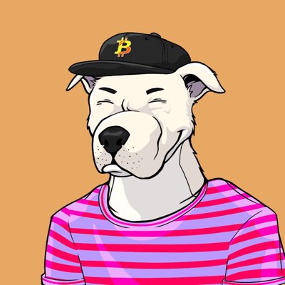 LiammWedge's tweet photo. #pitcrewnft https://t.co/XQXjGBebfK
