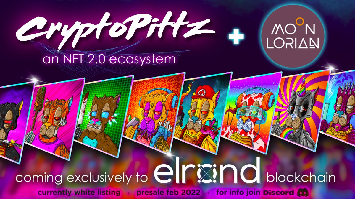 moonlorian's tweet photo. .@Moonlorian goes to the @ElrondNetwork pound and adopts the 🦴@Cryptopittz🦴 &amp; are proud to be helping our new partners with #NFT, Staking &amp; Gamification. Not to mention, giving dogs around the world a second chance! Check out their Discord to get white listed today!🐶🍾🥳🎉 https://t.co/EHWUVPqwMV