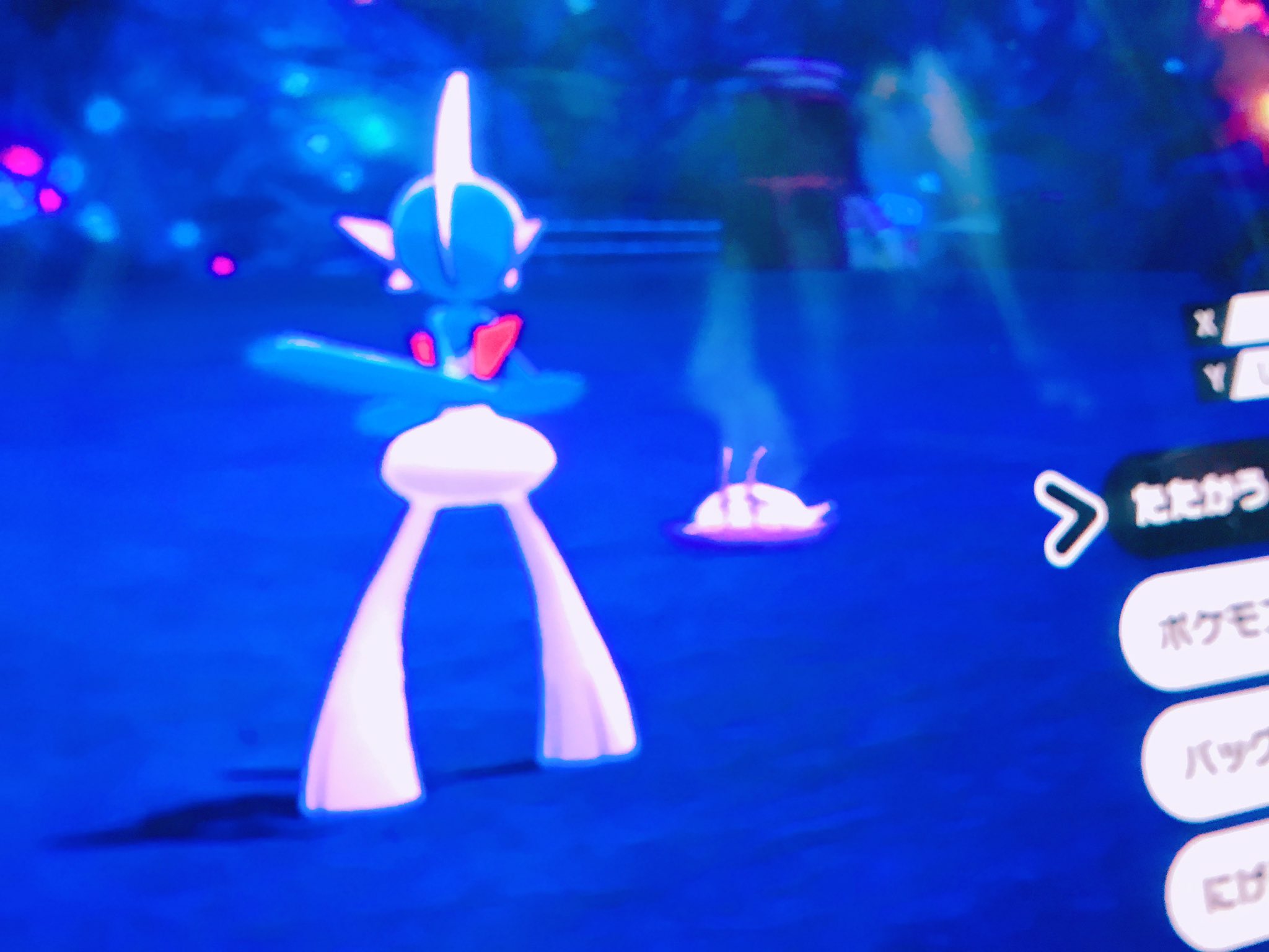 ありす 突然ですが剣盾で コソクムシの色厳選 はじめました O ﾟ 見守ってくれる人募集 尚 えりちゃんと にこくんは強制的に 見守ってくれください T Co Dd8ymgseox Twitter