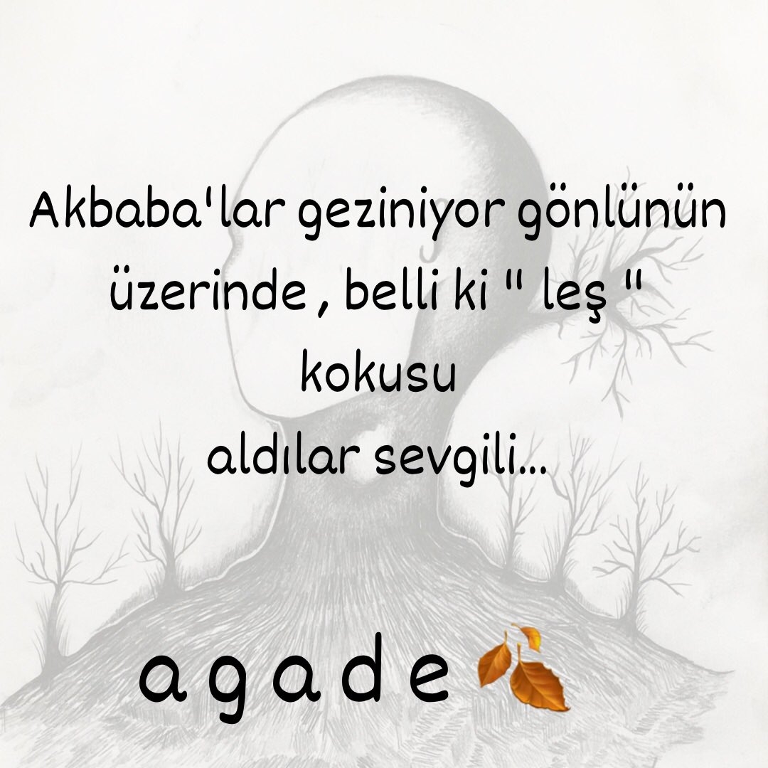 HakanAgade's tweet photo. 🍂🍂
#kitap #agade #hakanagade #kapıayarlarımbozukörtüstünü https://t.co/WgwKVarLy6