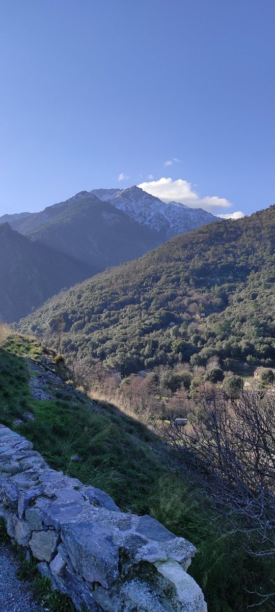 ateliermuseo's tweet photo. Museu di a Corsica
#corse#corte#museudiacorsica#museo#museu https://t.co/Bxyjov1T52