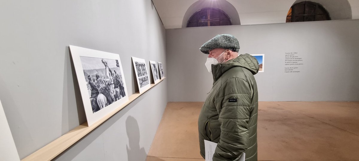 Tiziana buccico tweet media