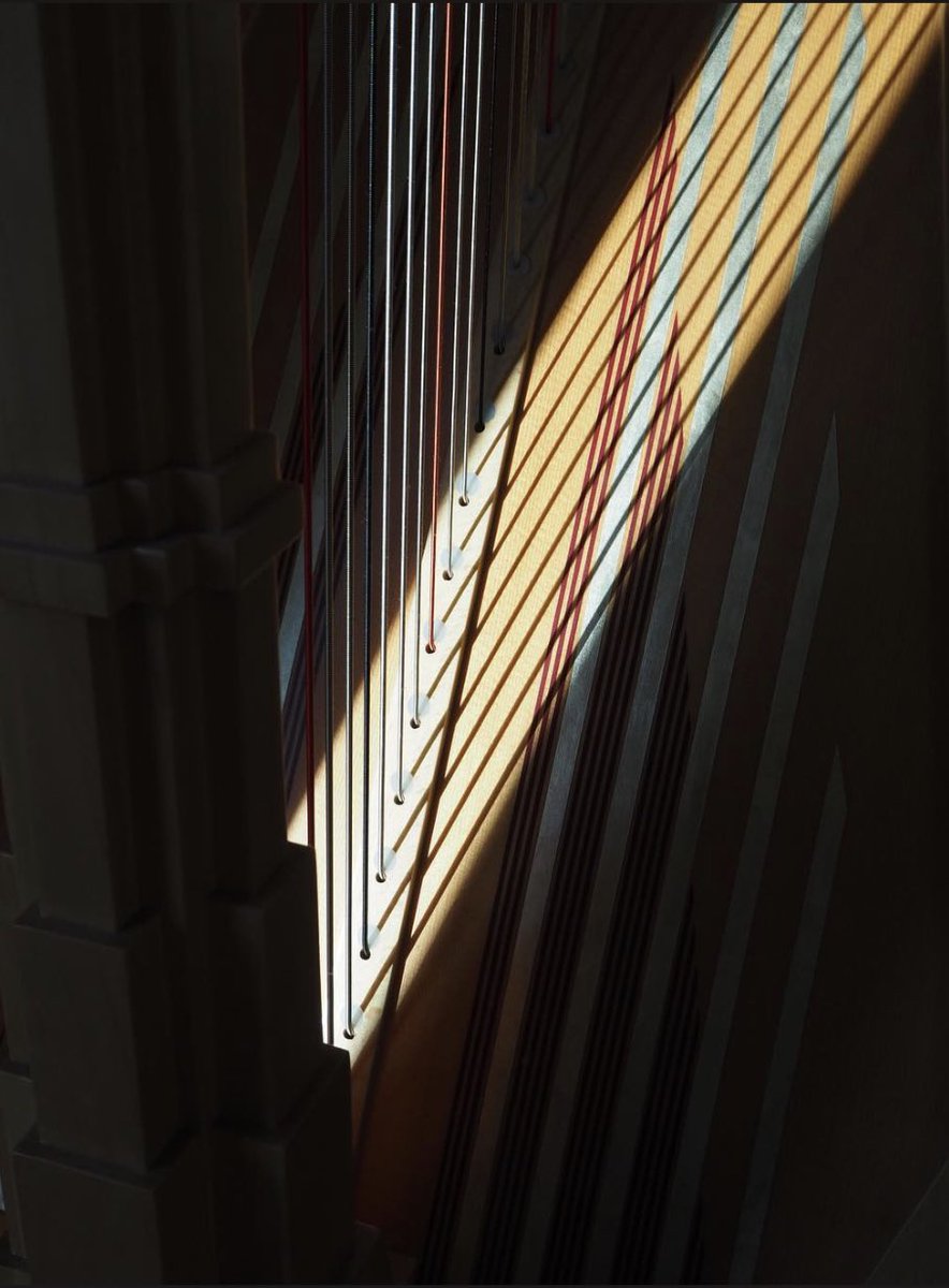 BooksByMeghanD's tweet photo. That #Salzedo sunlight though…. Inspiration for my work-in-progress children’s book! 🎶 #harp #lyonandhealy #harpist #practicalharpist #pb #12x12 https://t.co/Qx0qH2PTSF
