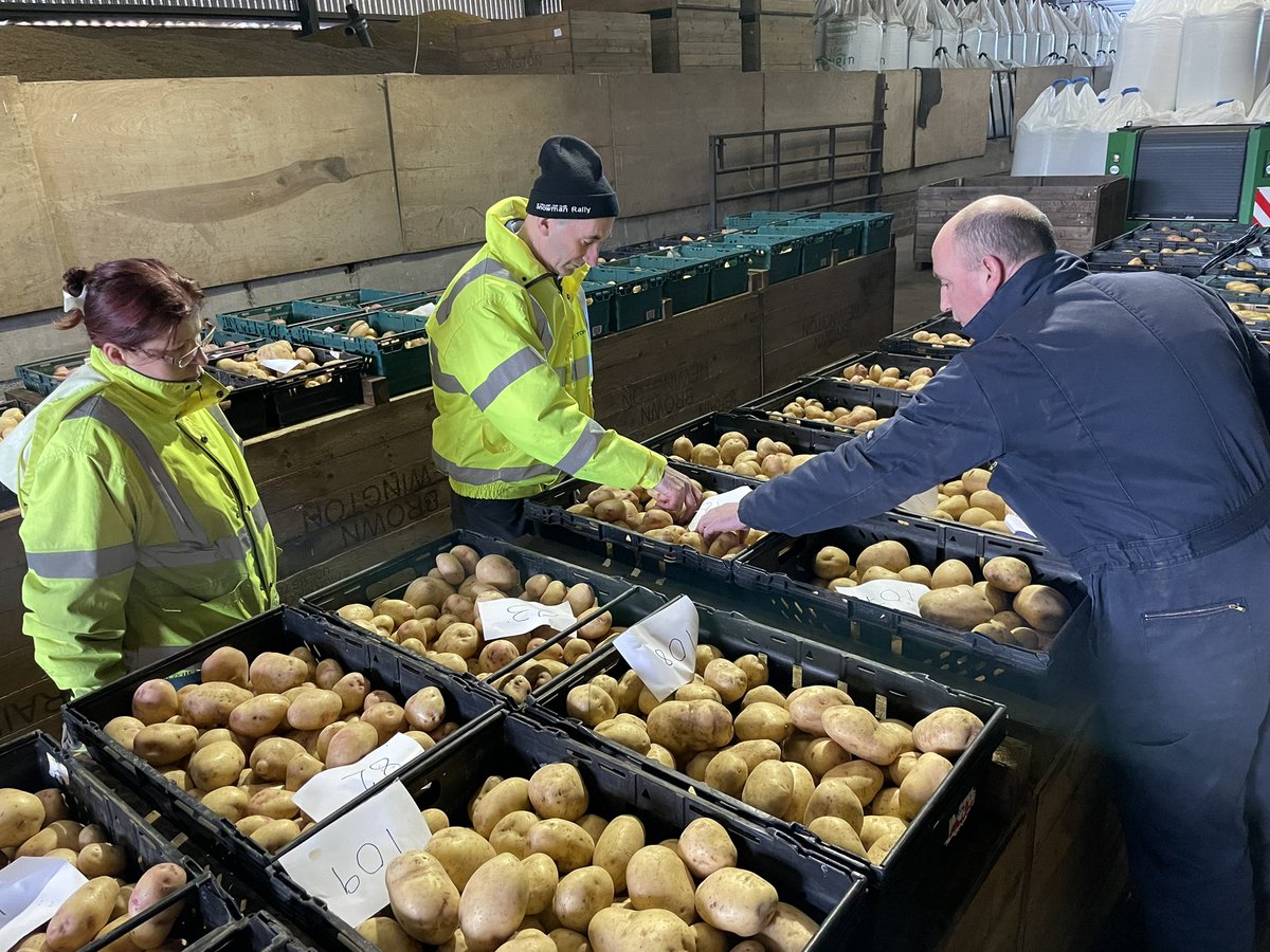 Second wash up of the season. Strangely, and somewhat reassuringly, the spuds looked better this time! Just 1 member at a time because of COVID but it leads to more in depth and constructive discussions.