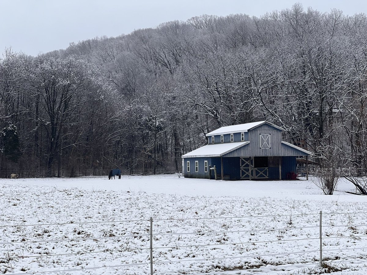 tvalwx's tweet image. Paradise ❄️ #STLWeather