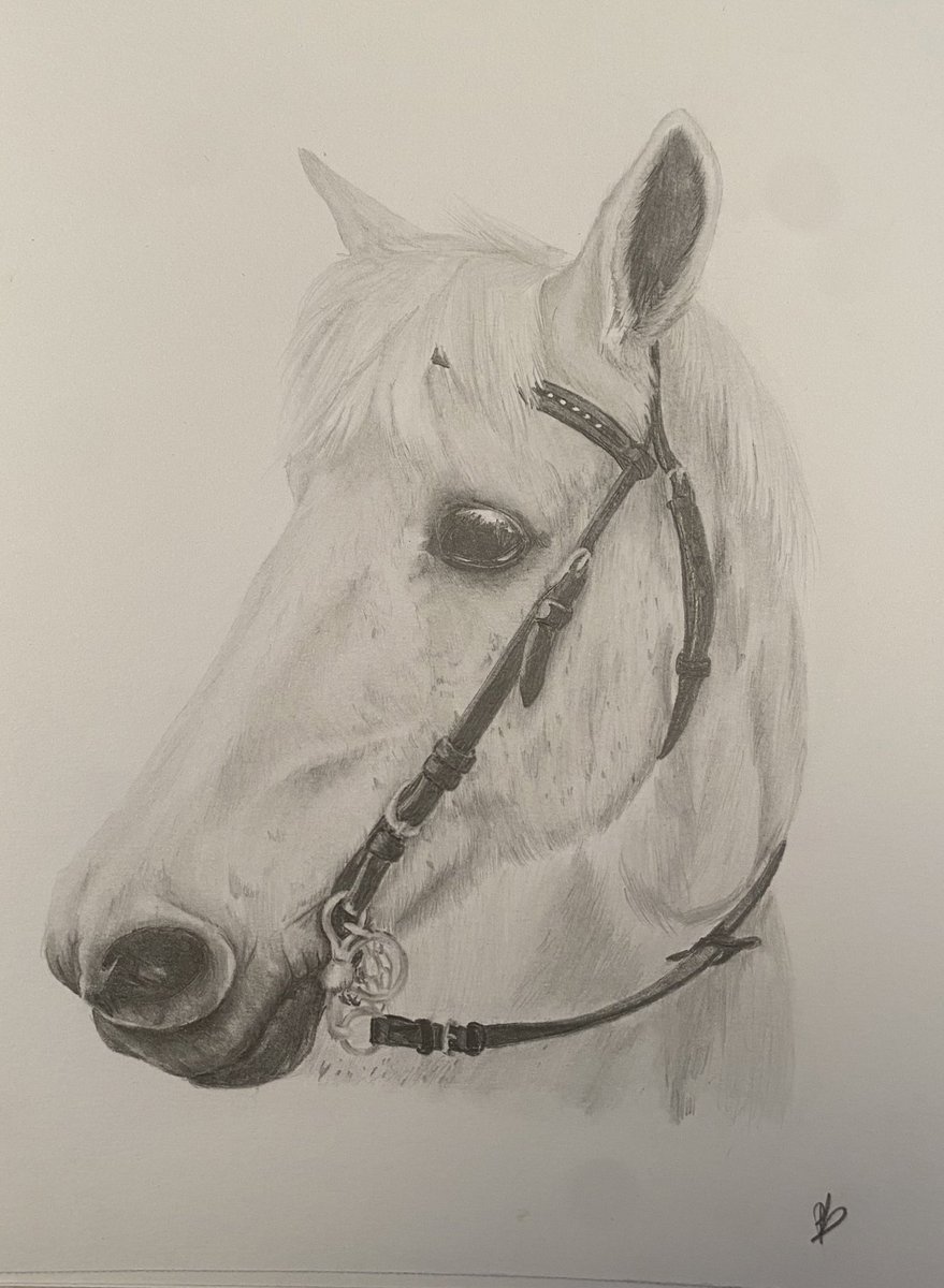 philantrhxpe's tweet photo. Cheval 

#cheval #horse #dessin #drawing #drawingwithadhd #art #realist https://t.co/kVhohtWuTD