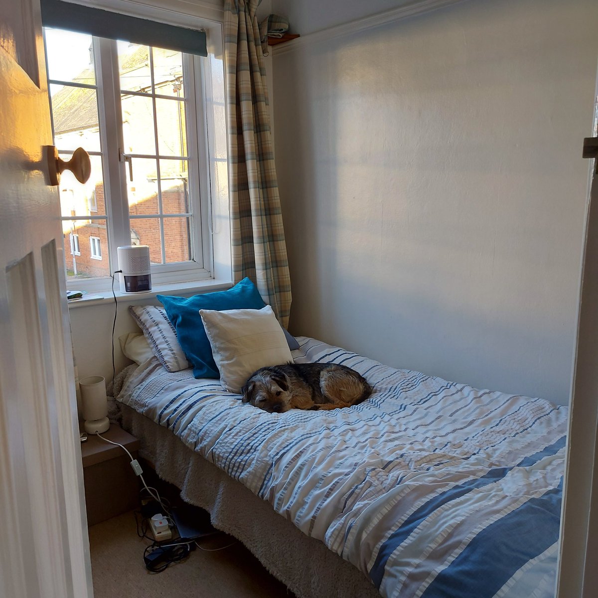 BarneyBooBT's tweet image. I presume they made the bed for me? It's lovely, thank you 😊 

#BTPosse