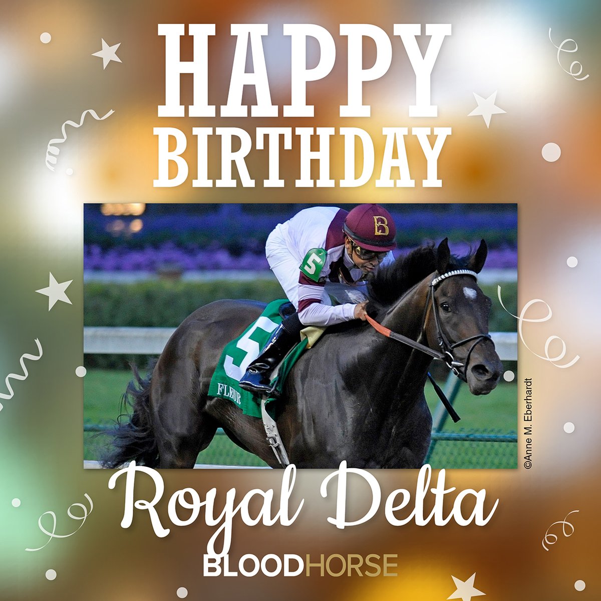 BloodHorse's tweet photo. Commemorating the birthday of Champion Royal Delta, born on February 2, 2008. #RoyalDelta https://t.co/dfQepLcCVx