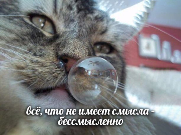 Ужасные мемы tweet media