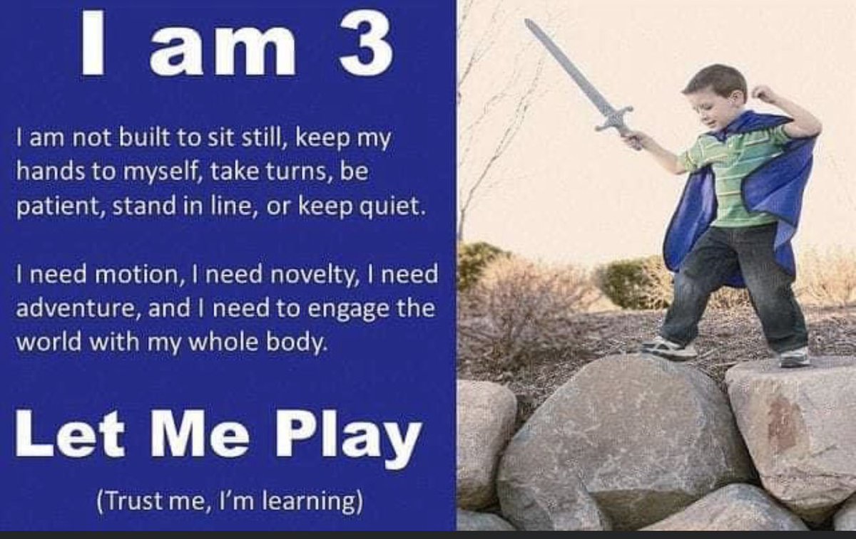 spiteri_mrs's tweet photo. Our #FDKs:
Risk Takers, Confident Doers, Explorers, Adventurers, Observant Seekers, Agile, Smooth Talkers, Inquisitive,Perceptive!
They need:Motion, Novelty, Adventure, to engage with the world with the whole body!
#EarlyChildhoodDevelopment
#k12 #edchat #onted #parenting https://t.co/M6k64hPz4o