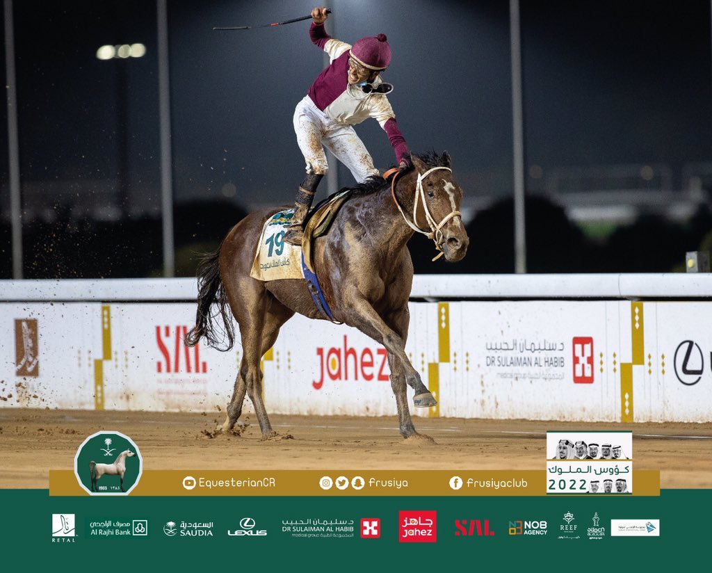 musallamqatan's tweet photo. Alkhateeb
(Brilliant Speed/Gold Empire By Empire Maker)
Horse 2016
🏇🏻25 races
🥇 6 wins
🐎 7 Places
🏆G1 King Saud Cup(Local)
O : Almangosh Stable
T : M. Aldugish
J : R. Alfairoz
Eng/Musallam Qatan
15/01/2022
#arabianhorse #horseracing #Alkhateeb
#تقارير_خيل_مهجنة https://t.co/mOCwx6uJq1