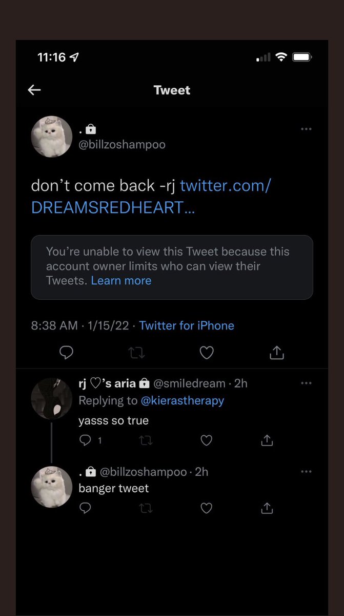 M1RRORBALLTV's tweet photo. hi kiera hi rj!! imagine purposely going against somebody’s boundaries bc you don’t like them? it’s been months, looks like you’re the ones who are obsessed!! https://t.co/rZ0RhLvtP9
