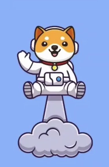 ise_frontend's tweet photo. @babydoge não vai precisar da @binance para cortar um ZERO. https://t.co/BNxu43954r