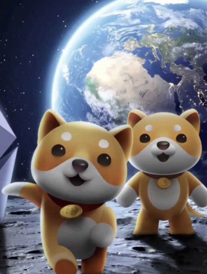 ise_frontend's tweet photo. @babydoge não vai precisar da @binance para cortar um ZERO. https://t.co/BNxu43954r