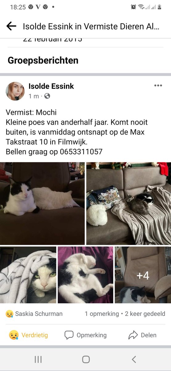 Wij zoeken Mochi in <a href="/almere/">almere</a> <a href="/FilmwijkAlmere/">St Platform Filmwijk</a> <a href="/FilmwijkBrtPrev/">Buurtpreventie Filmwijk</a>!