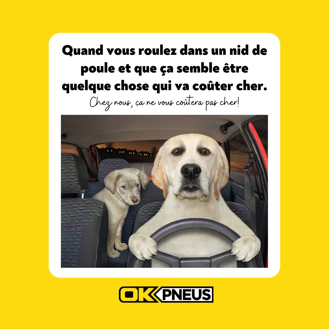 okpneus's tweet photo. Aujourd’hui, c’est la journée nationale des nids de poule! Est-ce que votre pneu/véhicule a récemment été endommagé par un nid de poule? Visitez votre succursale locale OK Pneus pour le faire réparer! https://t.co/CeIU6k8YwK