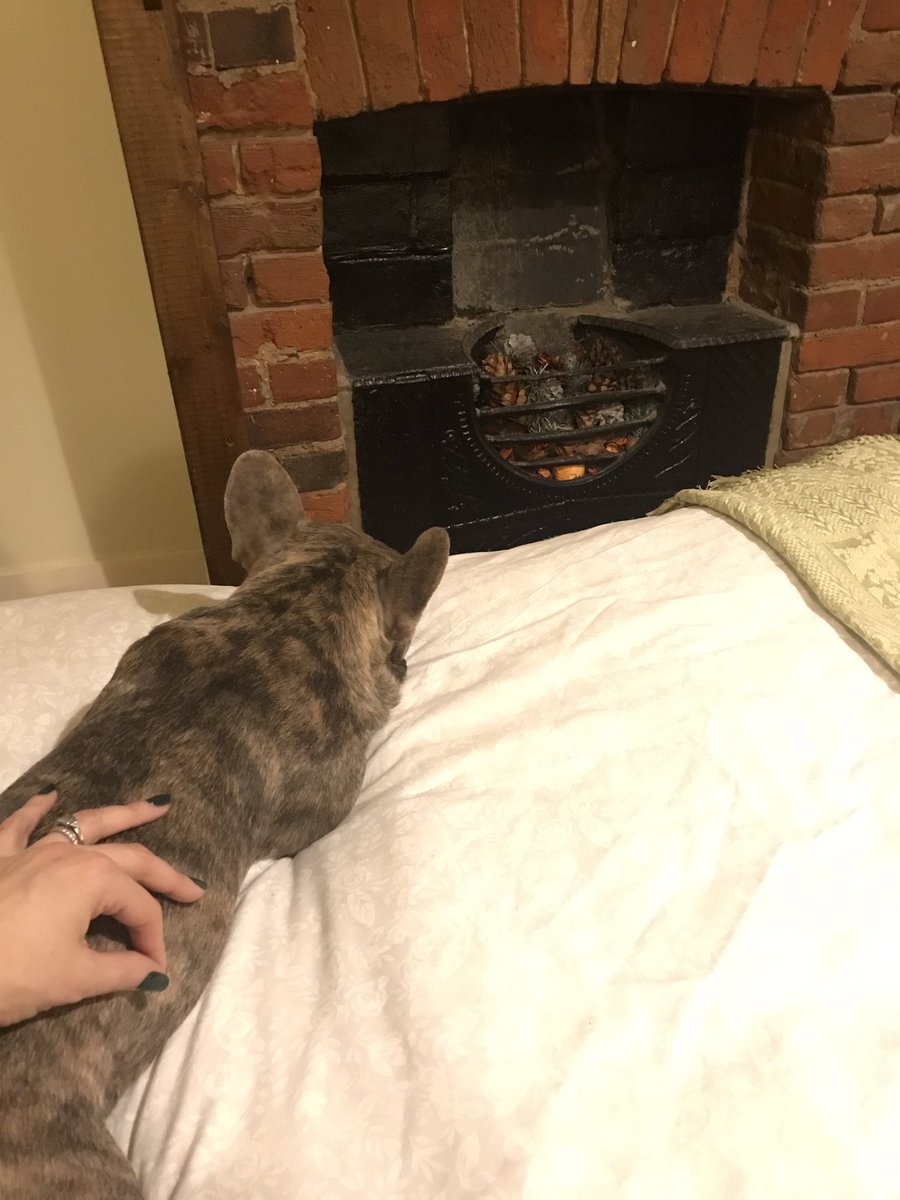 And relax… 
<a href="/LongcotKandQ/">The King & Queen, Longcot</a> 

#dogfriendly