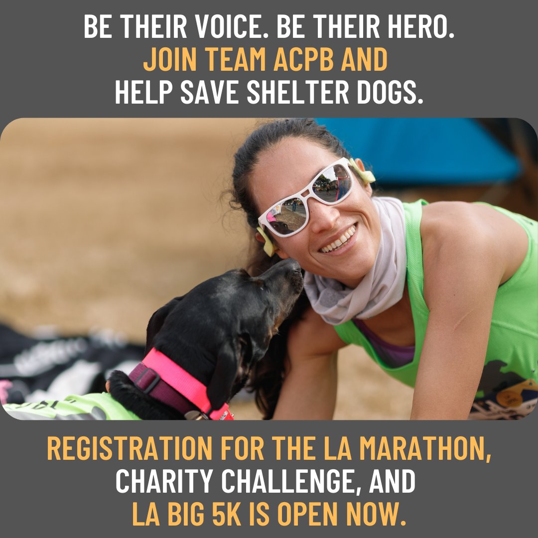 angelcitypits's tweet photo. Keep your fitness resolution: Run the LA Big 5K, Charity Half Marathon or LA Marathon to support shelter dogs this March Learn more: https://t.co/Z7A356lAhN https://t.co/wuJManqLlv