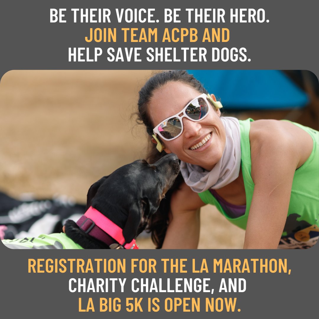 Keep your fitness resolution: Run the LA Big 5K, Charity Half Marathon or LA Marathon to support shelter dogs this March Learn more: conta.cc/3I9FW80