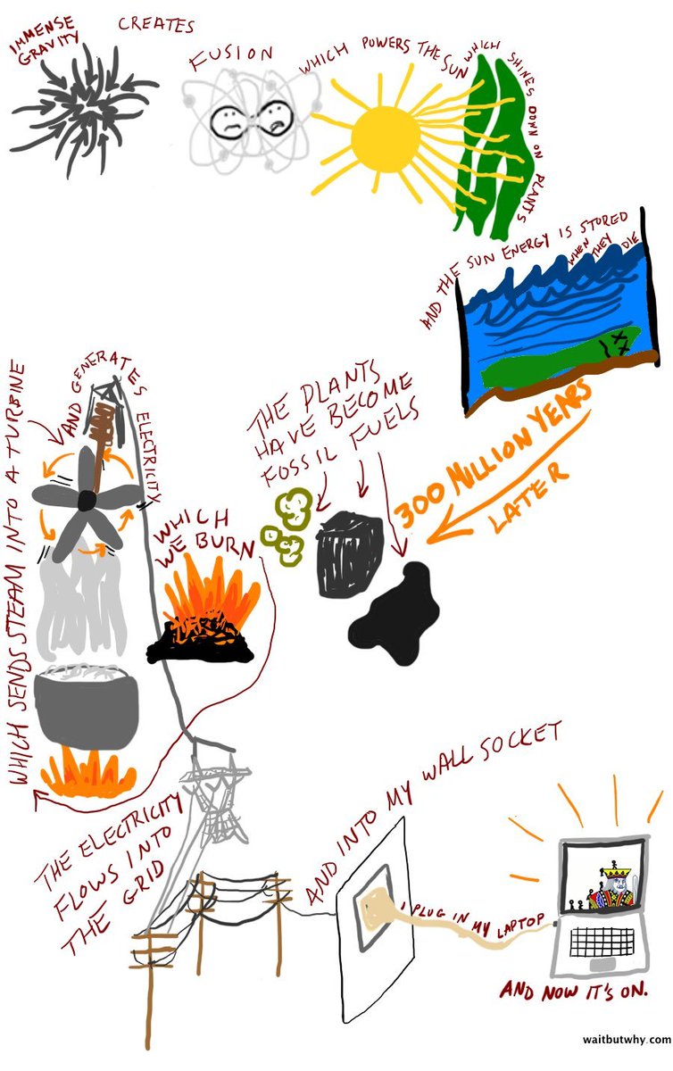 Tim Urban tweet media