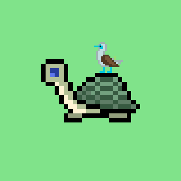 I Like Turtles tweet media