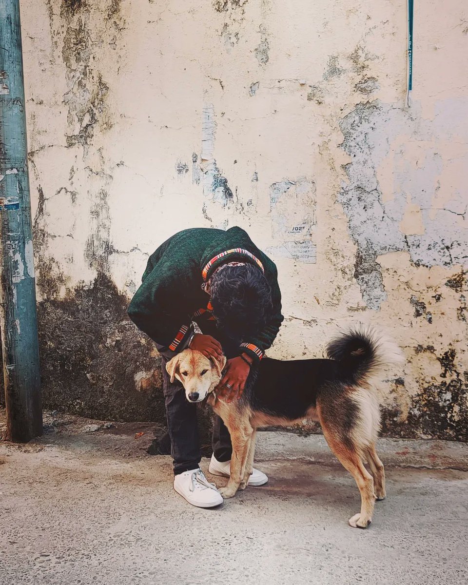 palatpalatpalat's tweet photo. Oh, don’t worry, Rishikesh dog's doesn’t bite.
#dogisgood https://t.co/vuZDA2ZWWp