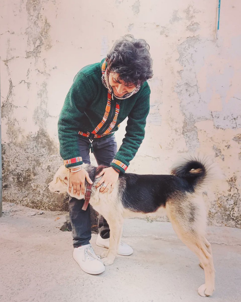 palatpalatpalat's tweet photo. Oh, don’t worry, Rishikesh dog's doesn’t bite.
#dogisgood https://t.co/vuZDA2ZWWp