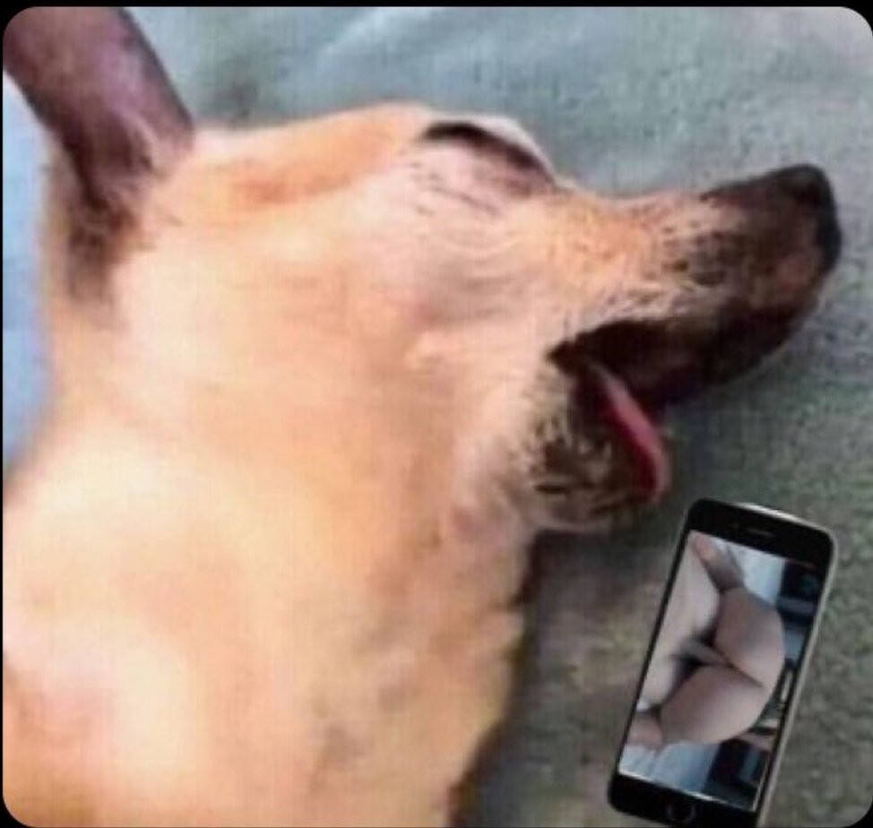 itsjusxuluu's tweet photo. when your mom walks into your room at 00:59 https://t.co/eiCAlh2ahk
