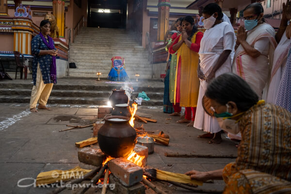 AmmaChimes's tweet photo. #Pongal prepatation at @Amritapuri Ashram 

#HappyPongal 
#MakaraSankranti https://t.co/0dHRW0GKtd