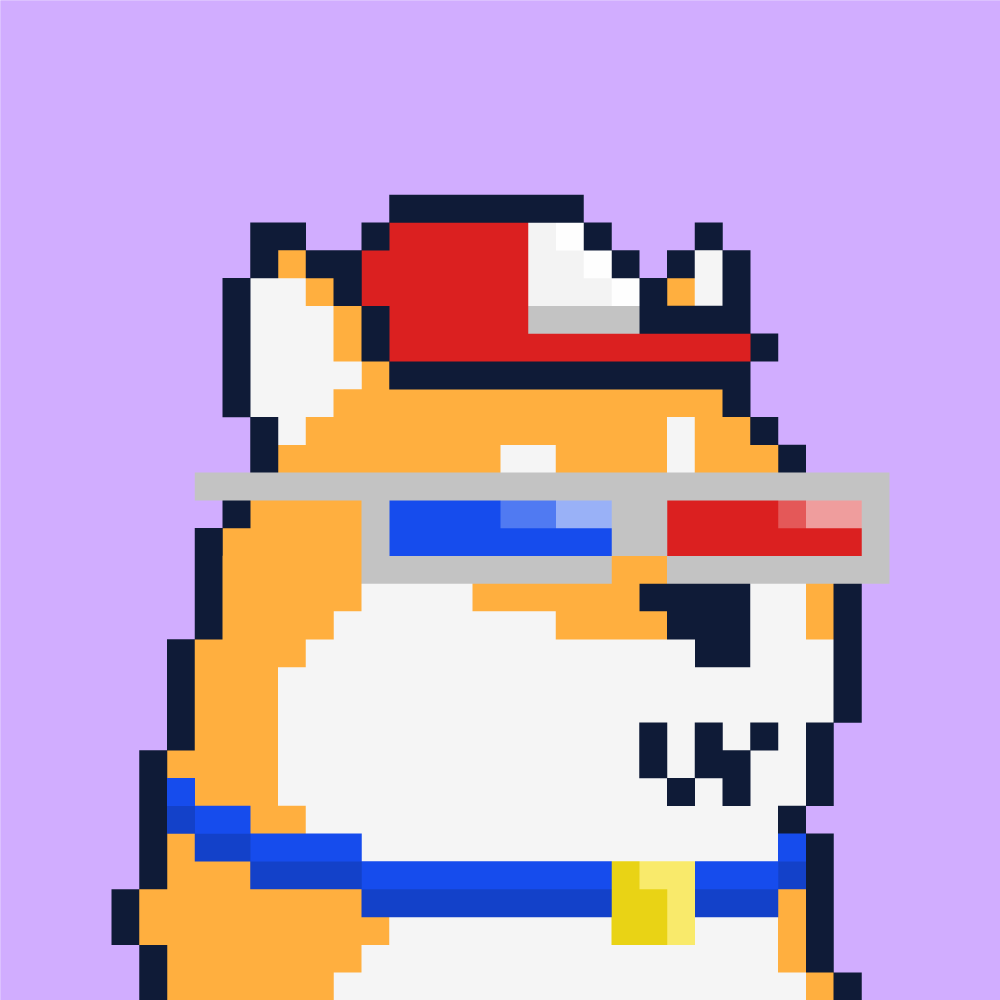 ooooznerol's tweet photo. @sol_nfts @SuchShibas https://t.co/Ir0RzgMtDV