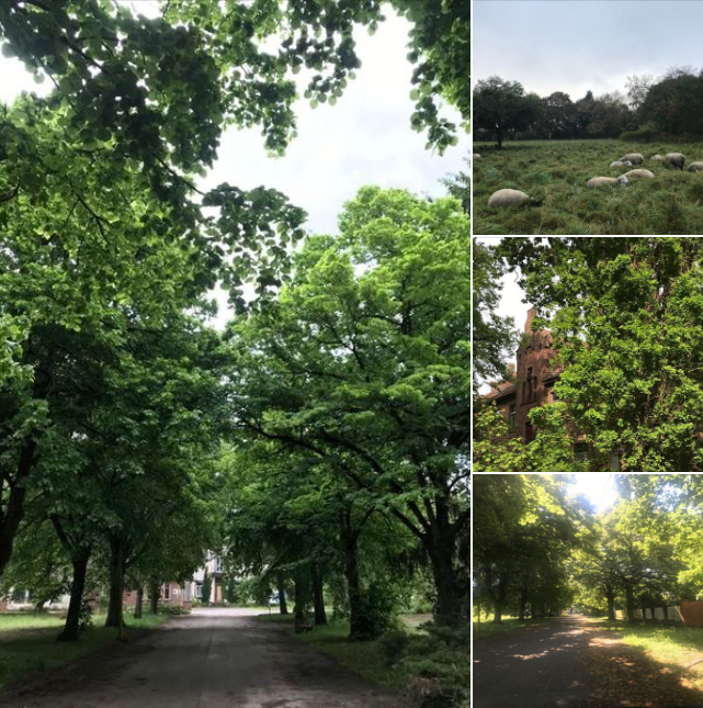 brunodalpra67's tweet photo. La #friche-#EPSAN est convoitée par un aménageur qui veut en faire une #ZI alors que la commune de #Hoerdt en possède déjà deux. Pour les opposants, le site peut avoir une autre vocation que celle que souhaite imposer la Com Com. Quelques images >> https://t.co/Qep5haJcmH https://t.co/4gcTrc8l2L