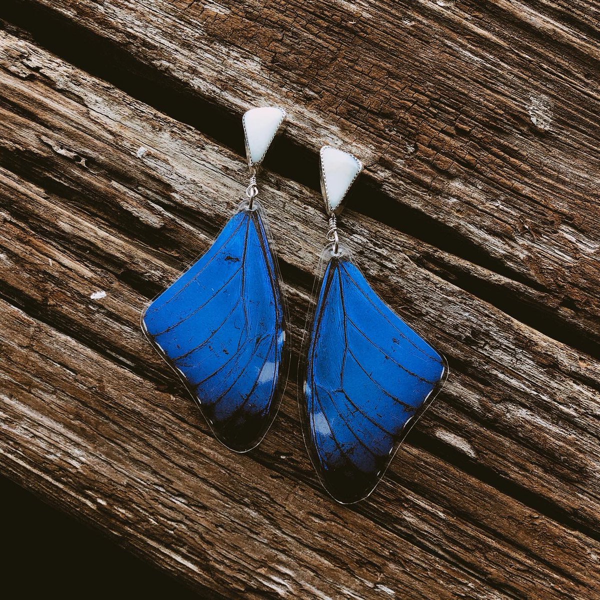 prairieskyjc's tweet photo. Choosing to stay soft in a world that would love to see you become brittle &amp; break is the ultimate rebellion 🦋✨🌾

{Butterfly Wings drop 3pm CST today at https://t.co/j8FB9cdjxO} https://t.co/sjW88i5YKk