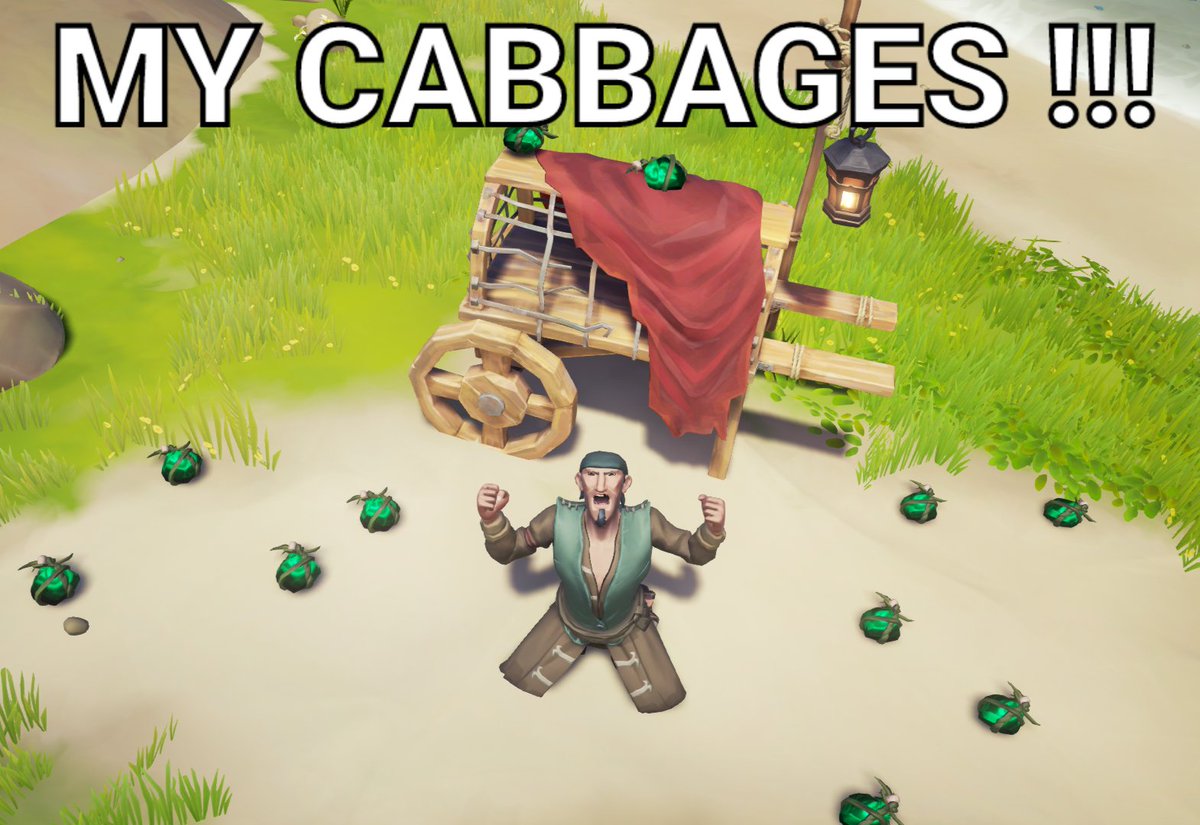 Hull Lariash 🛶 & Poonie 🦈 tweet media