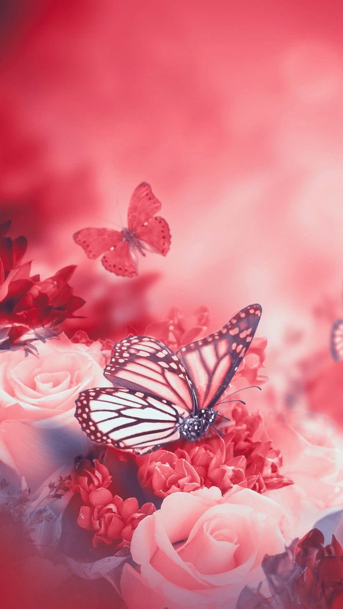 PandoraDreams22's tweet photo. “Beauty always comes from within our heart and soul.” 

Happy Saturday beautiful souls ❤︎.*•❀ https://t.co/ogU4b9zdJG