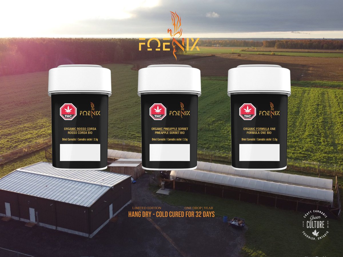 Coming very soon! 

Our Pineapple Sorbet, Formula One and Rosso Corsa.

Truly Canadian Cultivated Craft Cannabis.

<a href="/GrowersJmf/">JMFGrowers</a>
