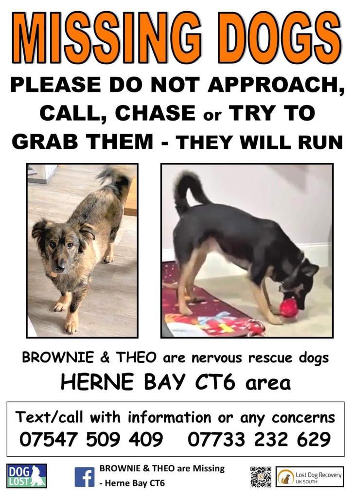 Please keep an eye out. If you spot them call the number below and please retweet this if you can.