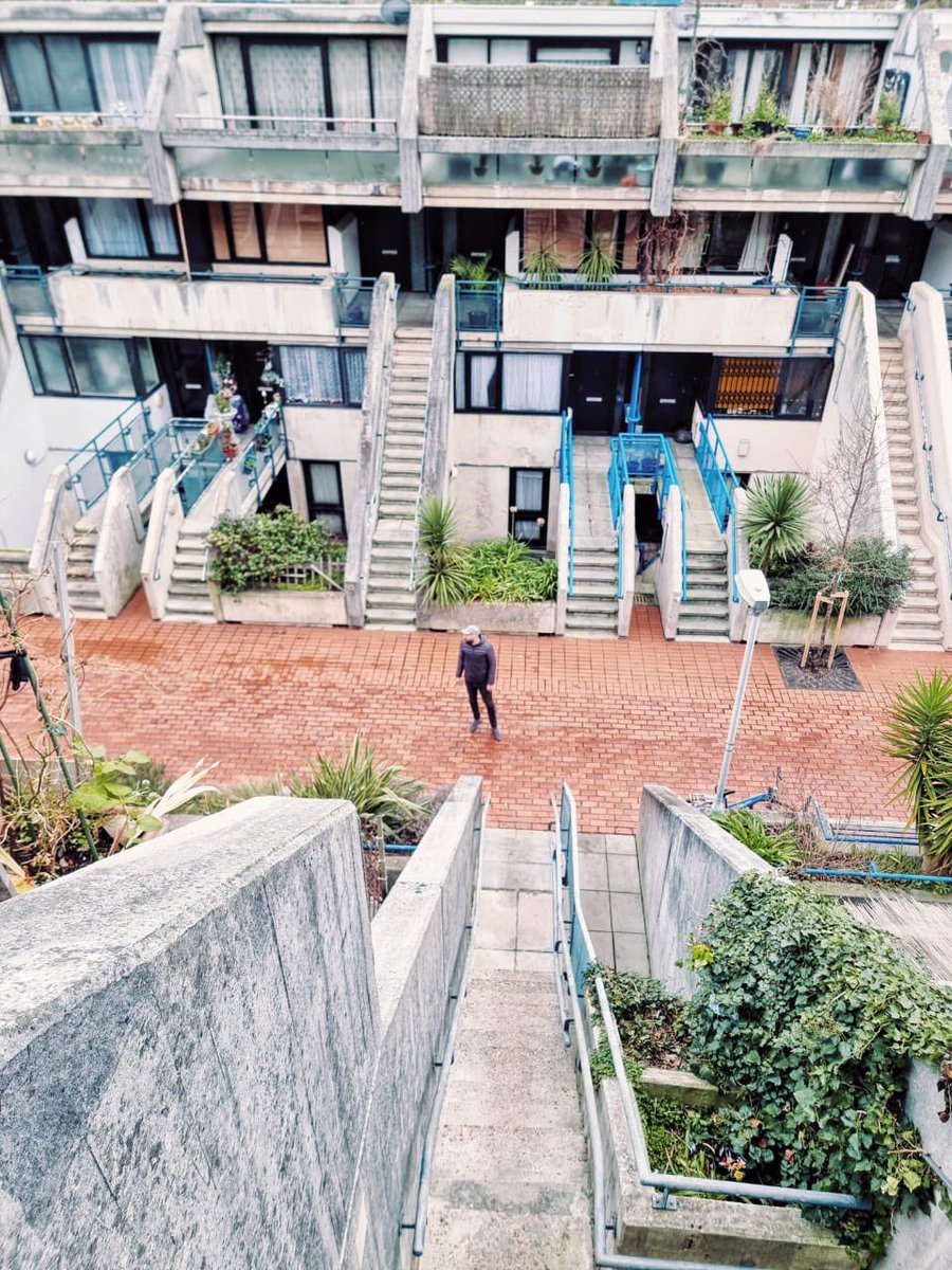 mr_plantgeek's tweet photo. Wanted to go here for years! #RowleyWay ~ aka the Alexandra estate. https://t.co/QcYSYdP8It