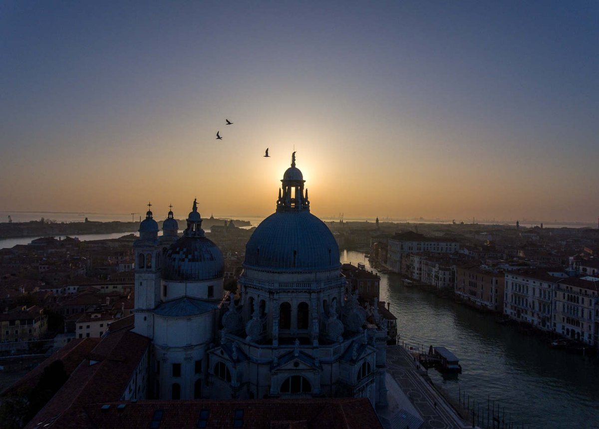 SimonVenturini's tweet photo. #VENEZIA • La nostra città vista attraverso gli occhi dei suoi santi ed eroi.
Inaugurata ieri al #Fondaco dei Tedeschi la mostra "Sguardi di pietra" con le foto scattate col drone da Marco Sabadin.
Scatti realizzati con il lockdown da un punto di vista unico.
Fino al #31marzo https://t.co/UzuxD327lF