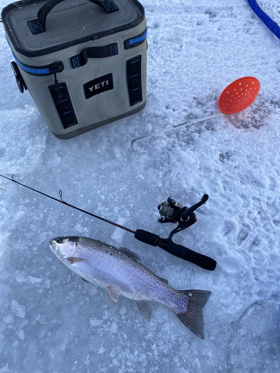 MtnWestIceFish's tweet photo. Awesome Multi Species Action at Jordanelle. 

#underarmour #yeti #sportsmanswarehouse #mtndew #icefishing #ionaugers 
#uglystik #jawjacker #procurebaitscents #maniaclures #marcum #bft #clam #mtnops #customjigsandspins #ratfinkee #coldnationoutdoors #icefishingnation 
#801 https://t.co/Dclh2Mab0M