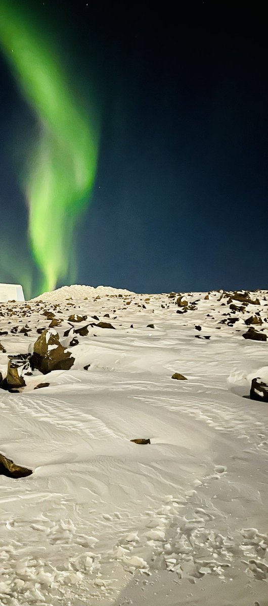 Pauline Pemik tweet media