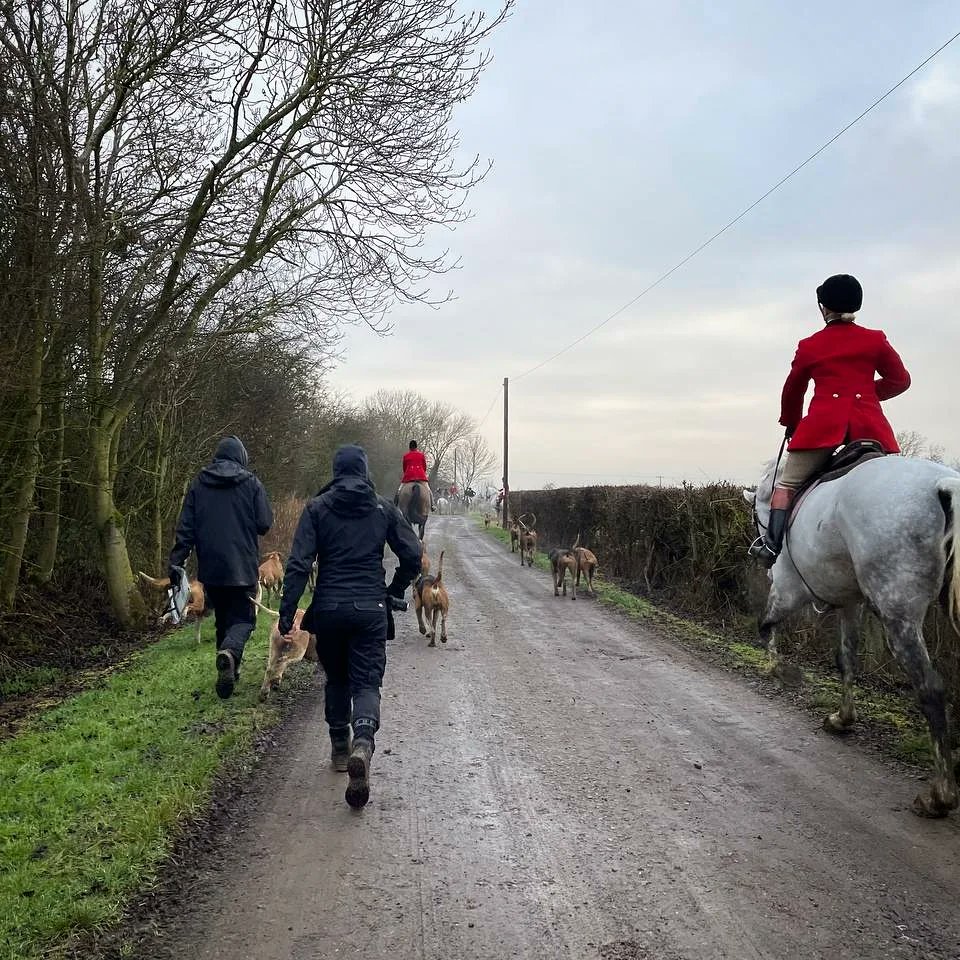 Sheffield Hunt Saboteurs tweet media