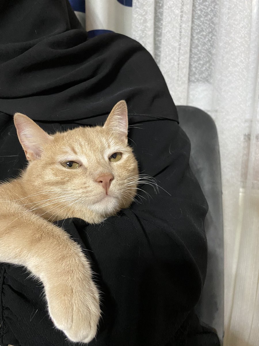 Arkadaşlar hiç mutlu değiliz