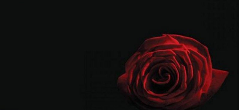 ElinaDamer's tweet photo. The love and friendship of important people who are heavenly and communication with them causes our inner peace, is an important communication way to alleviate our anxieties and peace in this troubled life and https://t.co/C7MOs8jvVD a very nice wemon Um Al Banin
#SaturdayVibes https://t.co/YuFBspmafK
