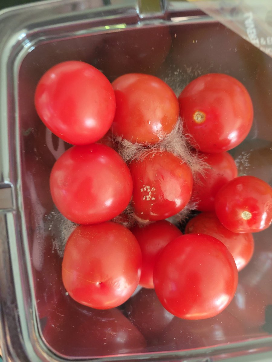 ritarodwell's tweet photo. not at all impressed @WalmartCanada, these were purchased today #Oakville 🤮🤮🤮 https://t.co/qeItT4iQjO