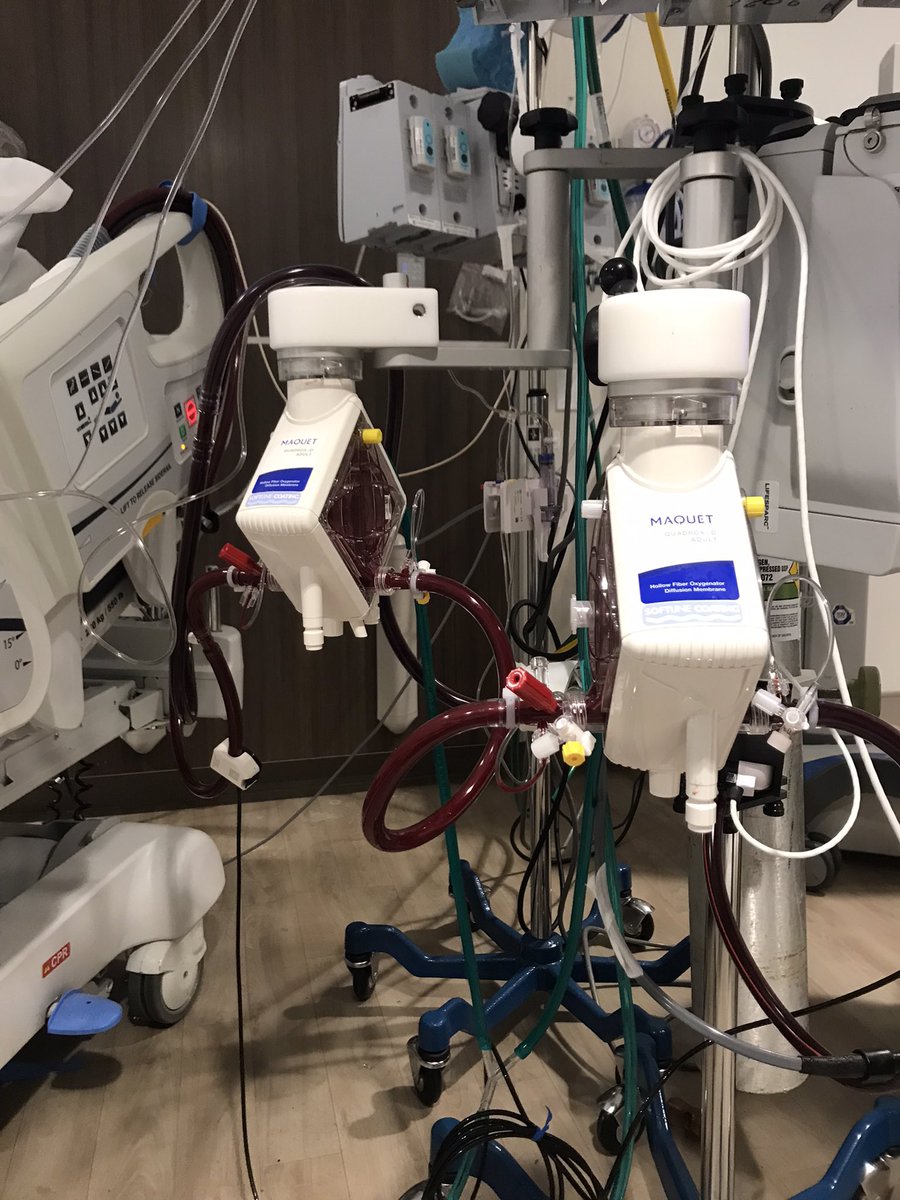 Gaston A. Cudemus, MD tweet media