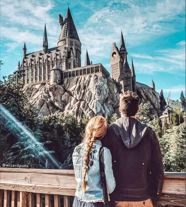 Hogwartssite's tweet photo. Todos andamos detrás del mismo objetivo. https://t.co/WSkaJORLCA