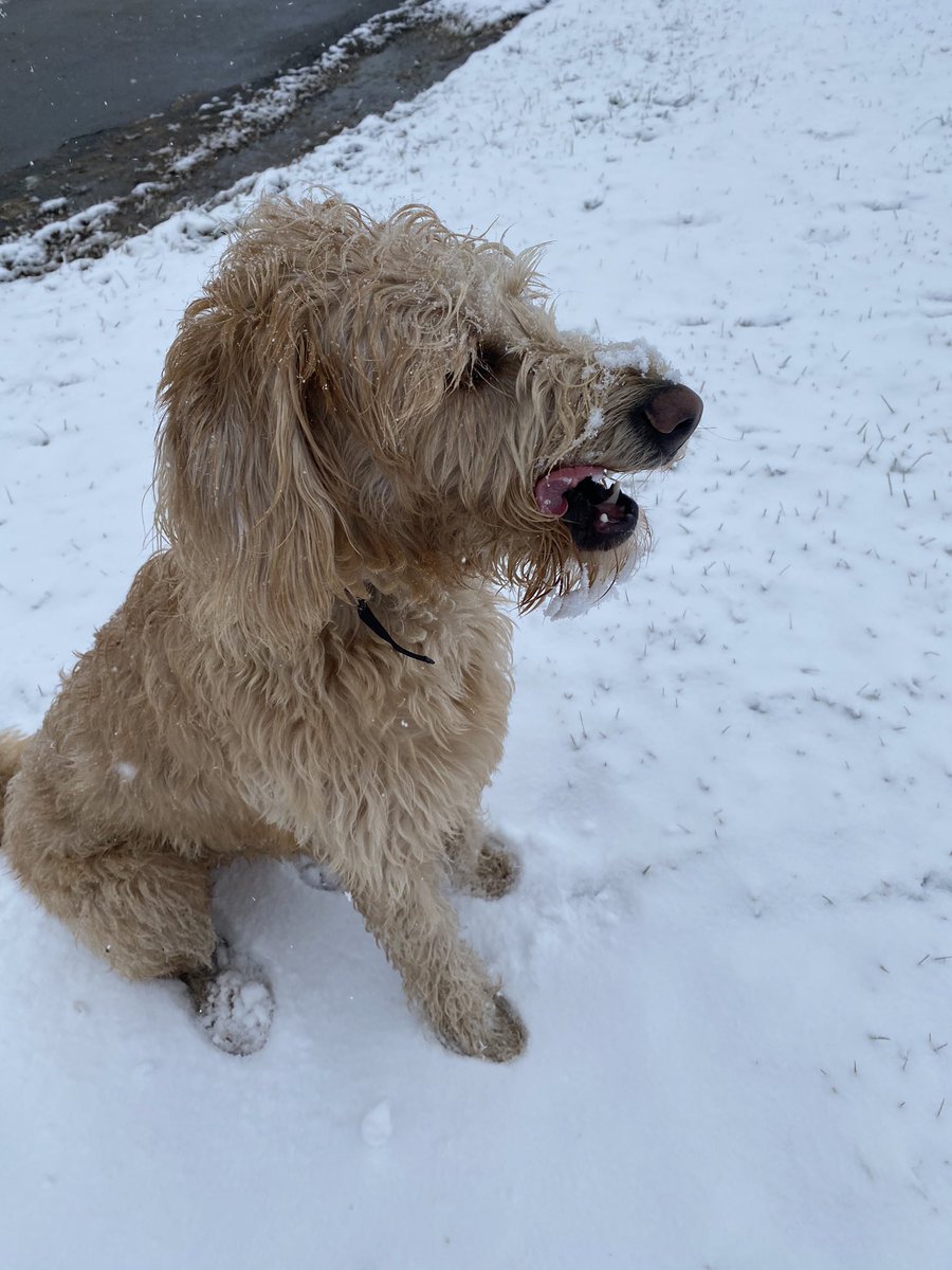 John Jones tweet media