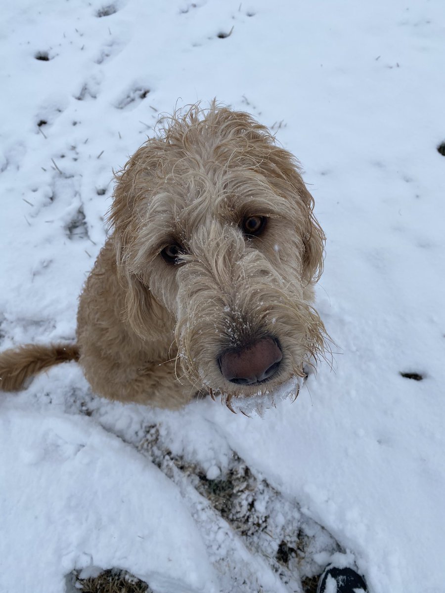 John Jones tweet media