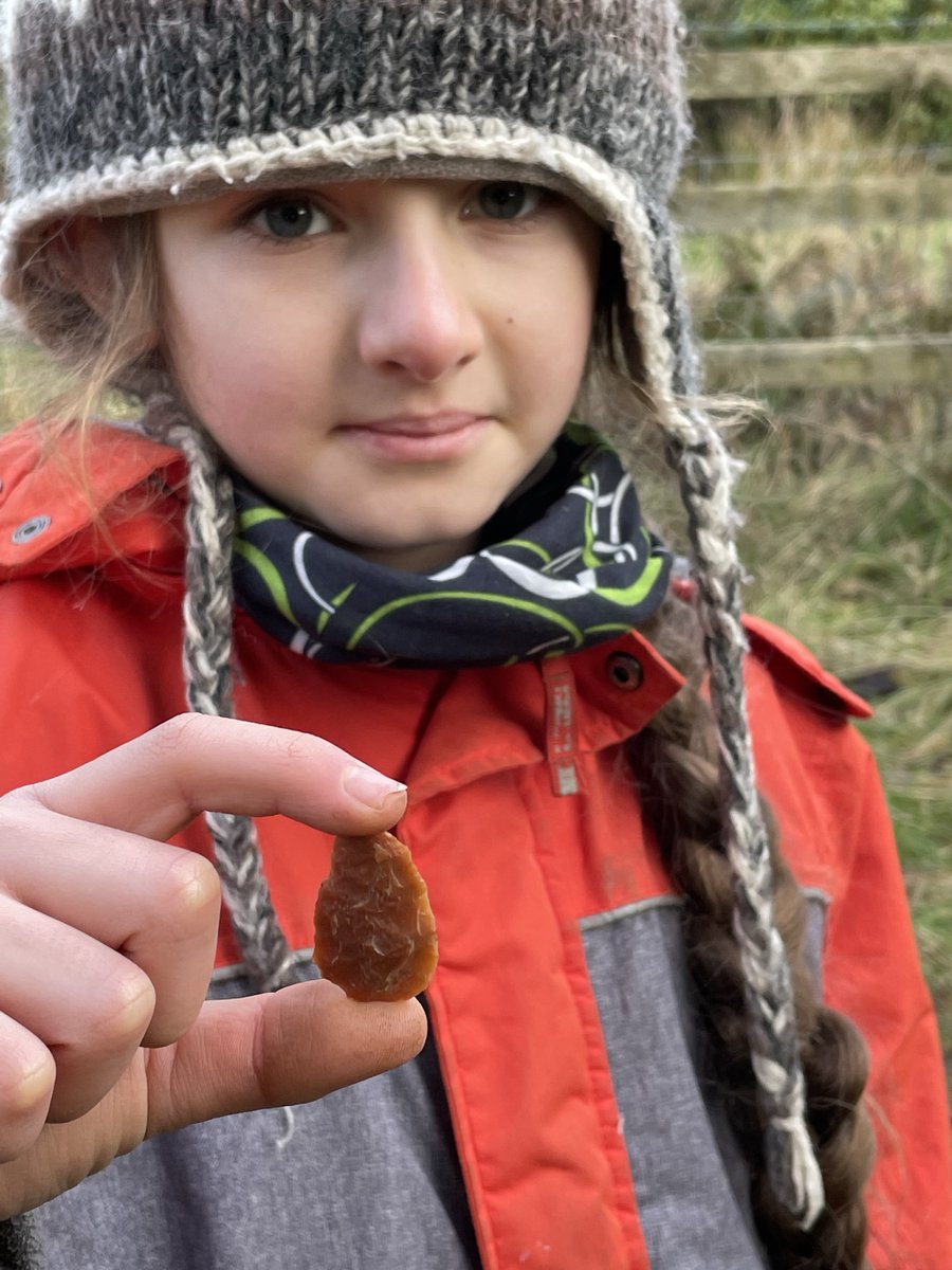 Mesolithic Deeside tweet media