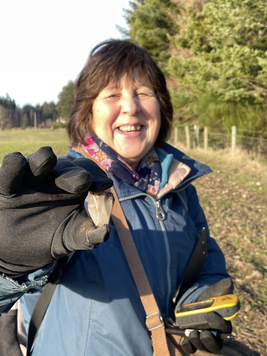 Mesolithic Deeside tweet media